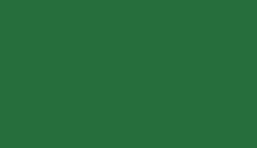 RAL 6001 Smaragdgrün Polyester Glatt Glänzend Metallic